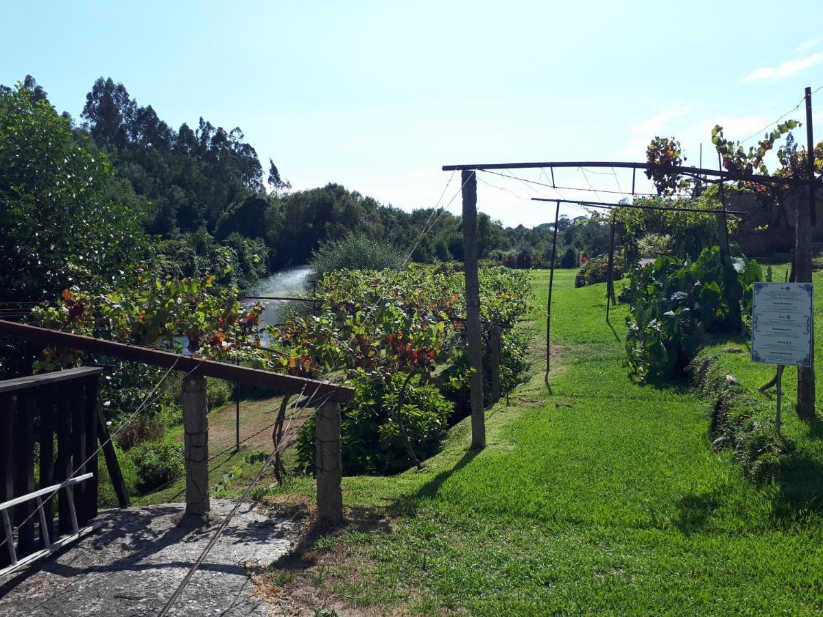 Dream Corner By Waterfalls, 20 Min To Oporto, By Porto With Love Lda Parada  Exterior foto